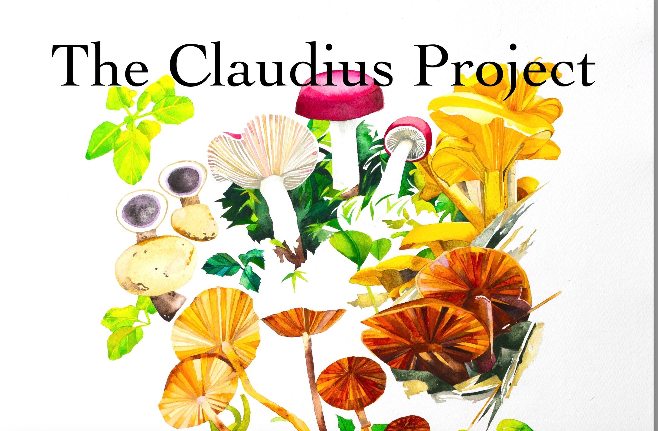 Cover illustration of The Claudius Project.