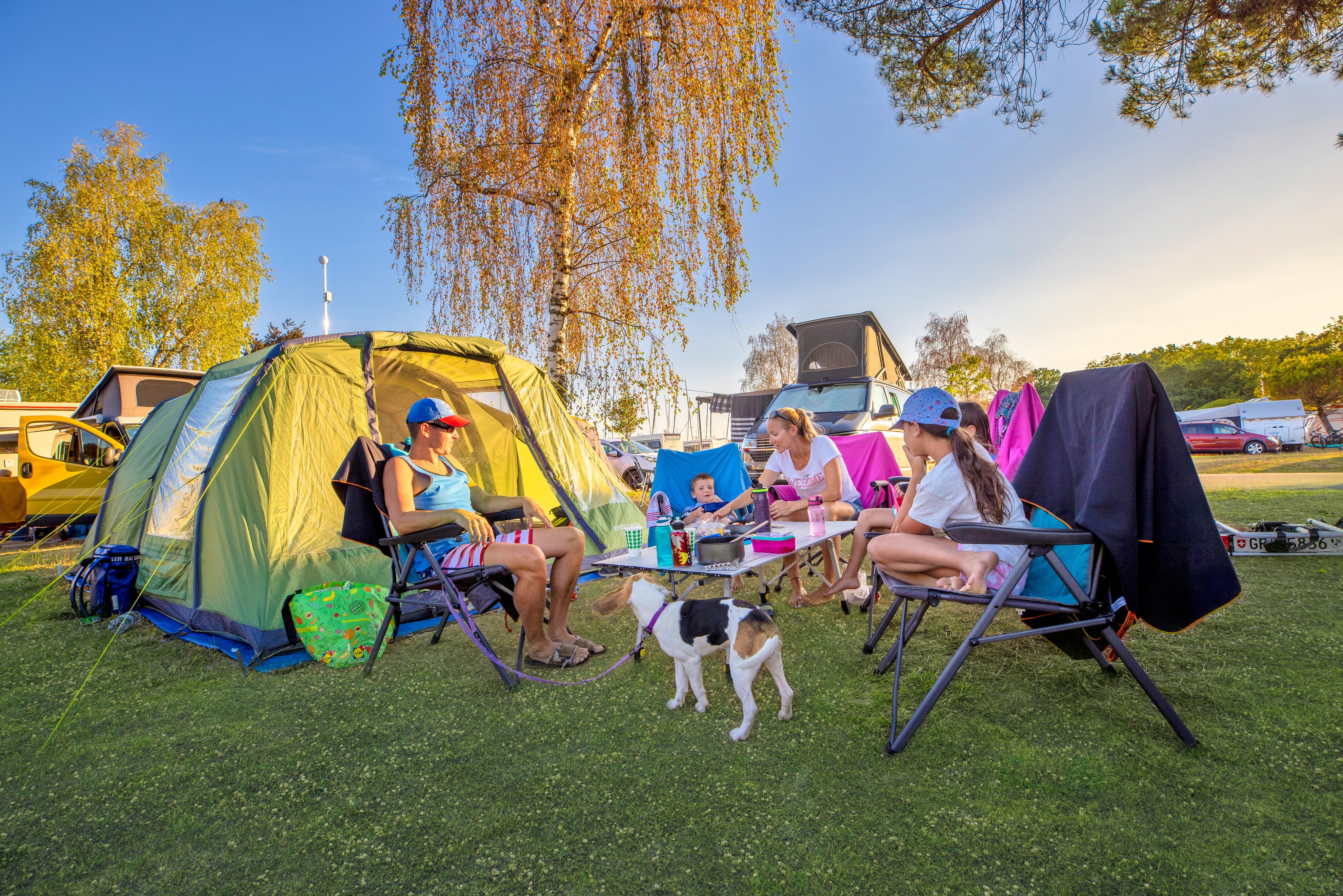Scène de camping avec tente, famille et chien