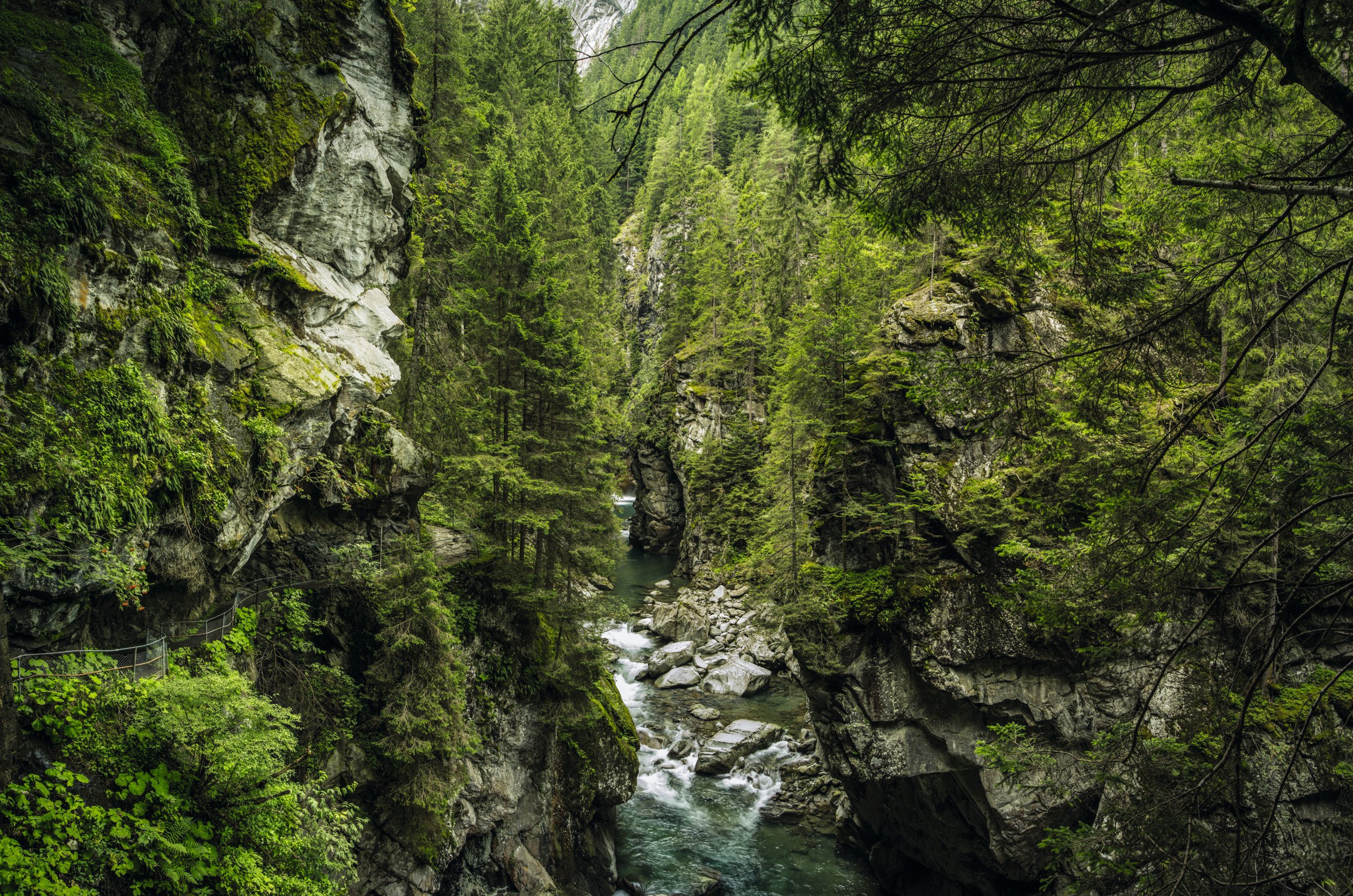 Nella Gola della Roffla, si può sentire da vicino il fragore di una cascata. Dall'albergo storico, si segue lo stretto sentiero che porta alla Gola della Roffla. In fondo, la galleria rocciosa conduce dietro la cascata e quindi sotto il Reno.