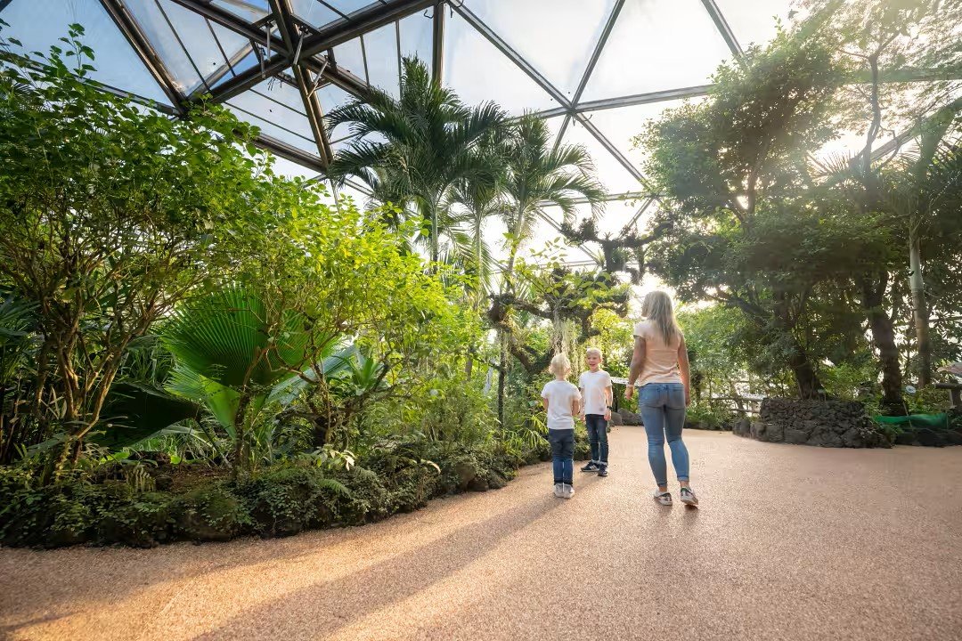 Tre bambini in un Papiliorama.