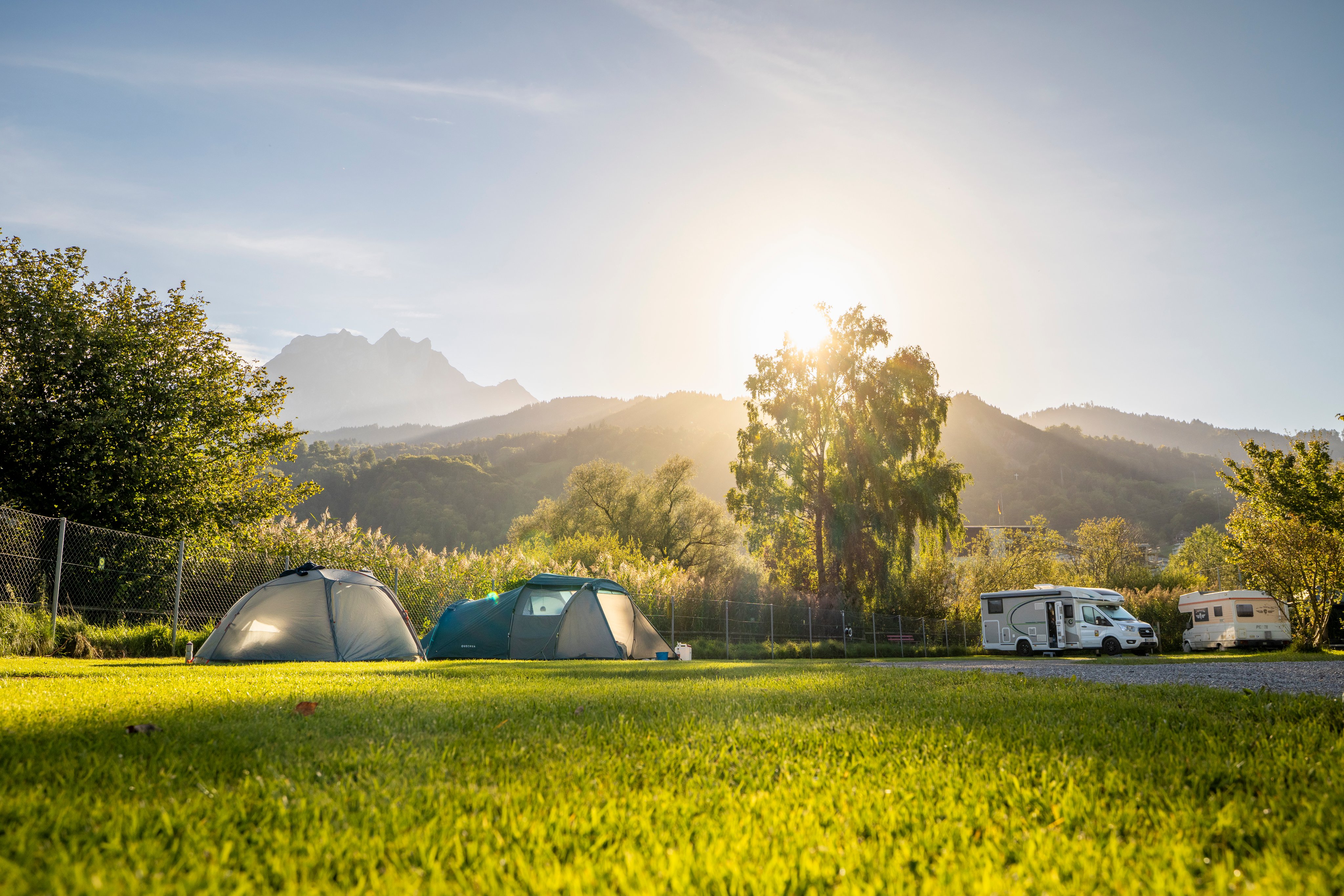 Deux tentes et deux camping-cars au camping TCS Lucerne Horw, le soleil brille à travers un arbre et les montagnes s'illuminent en arrière-plan.