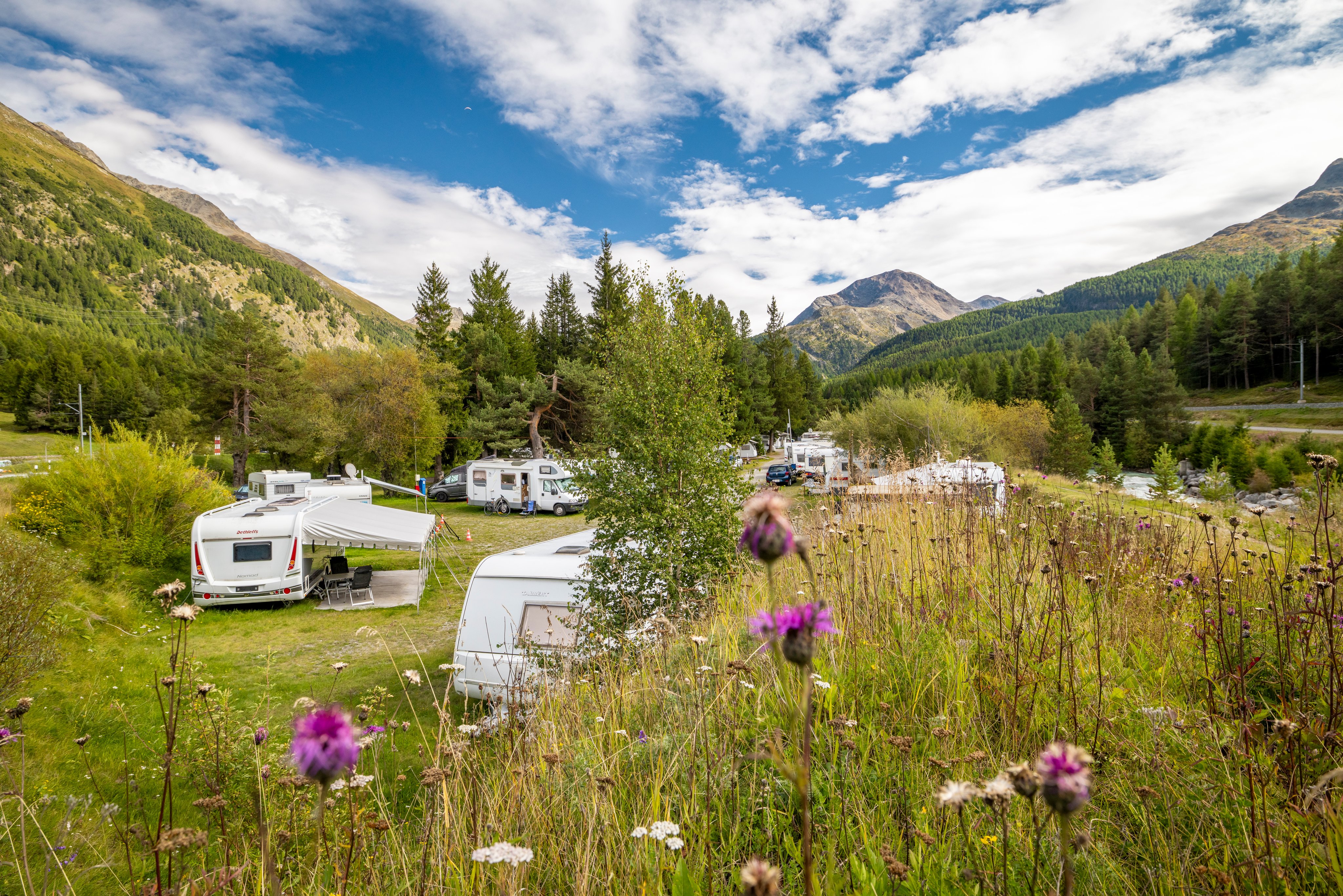 Wohnwagen einem Campingplatz umgeben von Blumen und Bäumen.