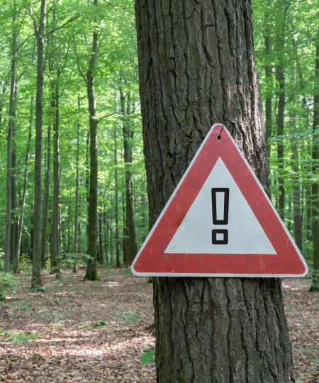 Warnschild im Wald