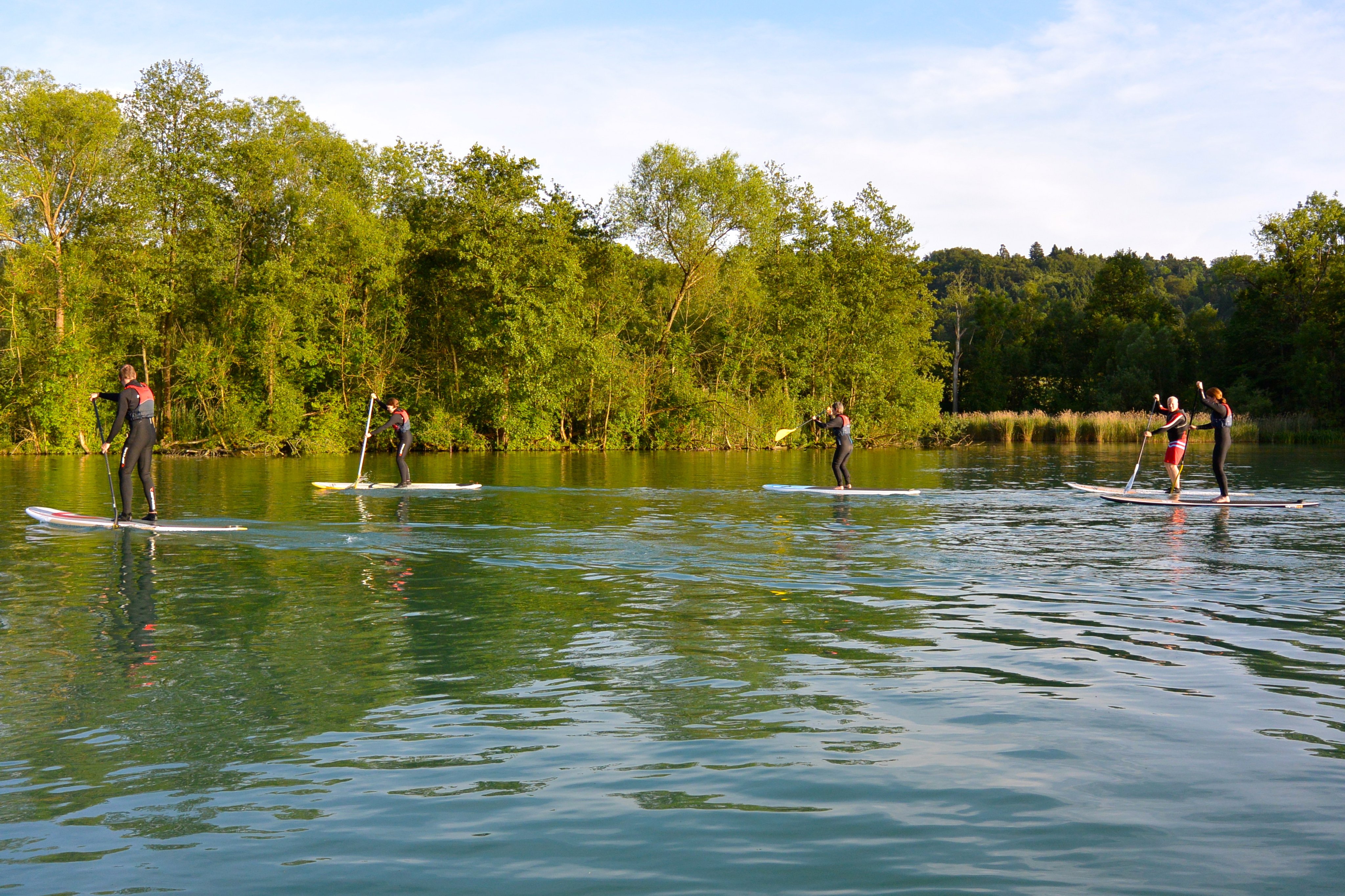 A group stand-up paddleboarding on the Aare