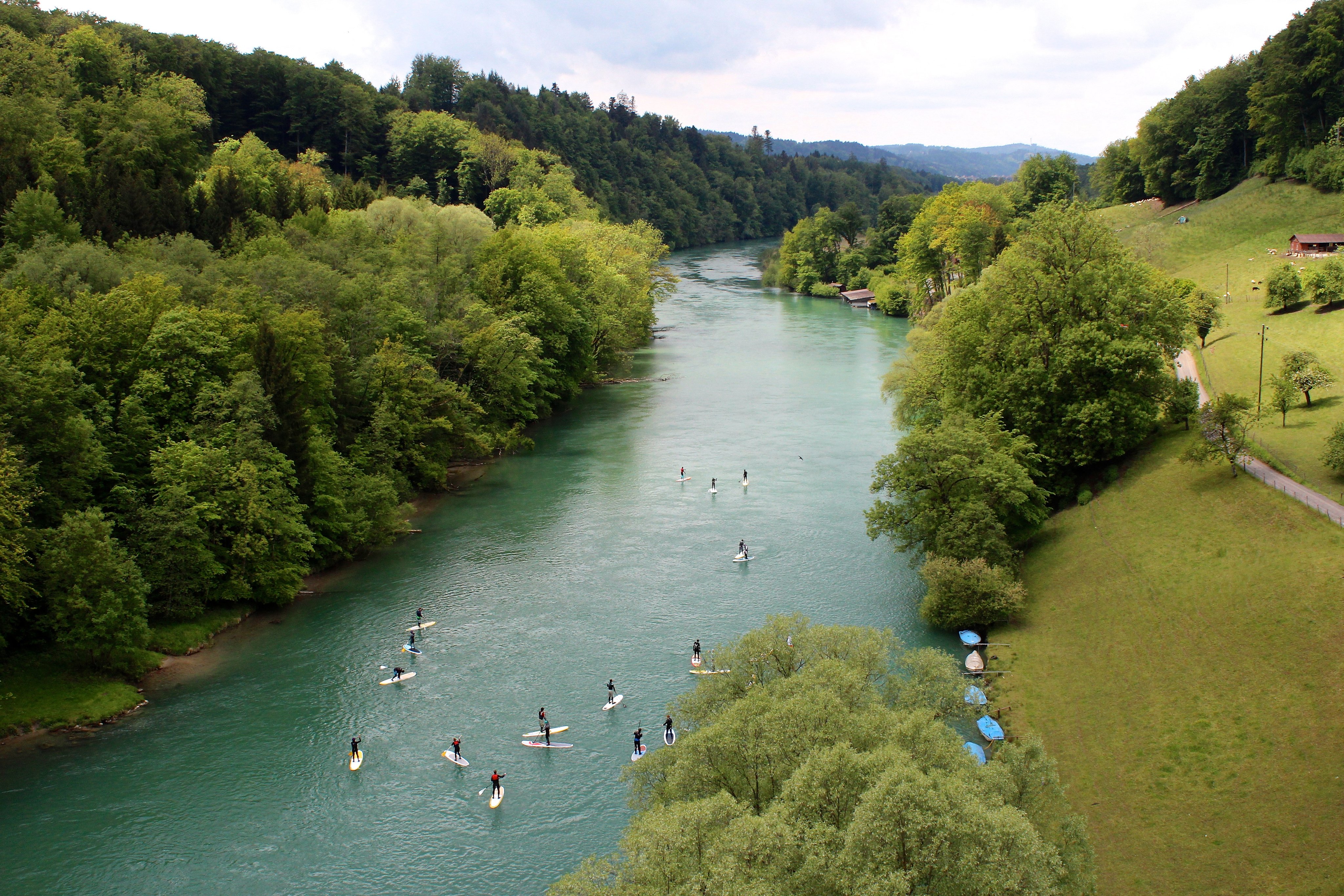 Eine Gruppe am Stand Up Paddling auf der Aare