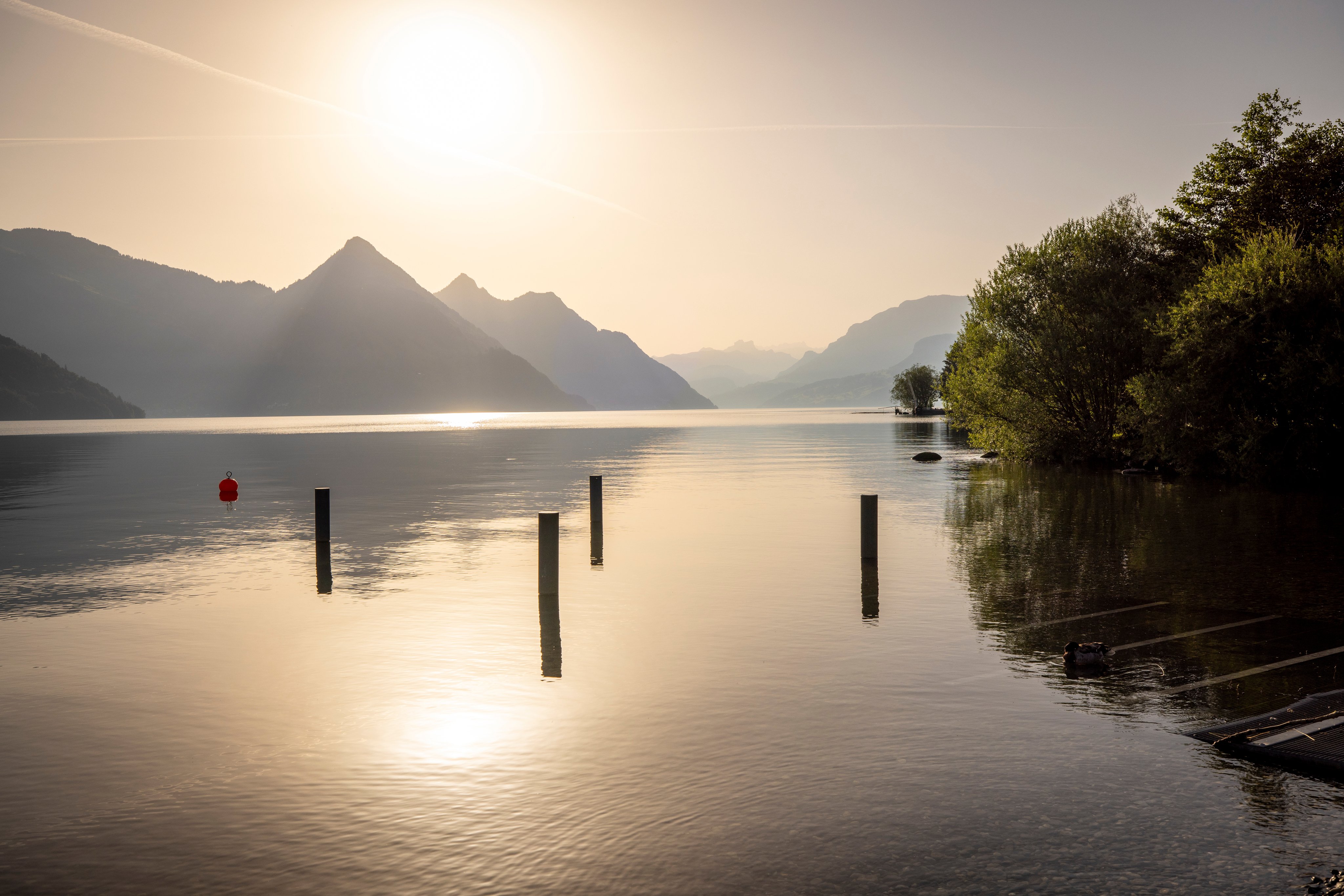 Vue sur le lac des Quatre-Cantons et le Stanserhorn du TCS Camping Buochs