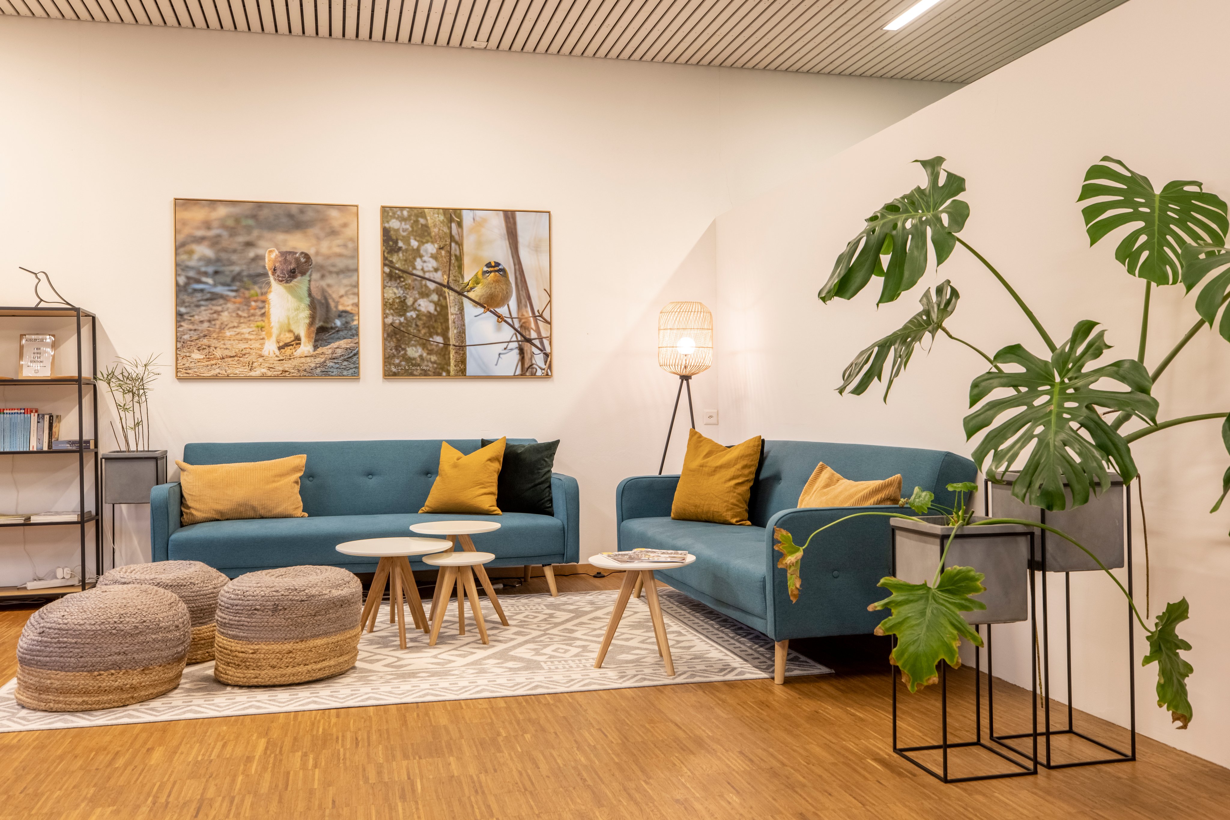 Sala ricreativa con salotto al TCS Camping Flaach am Rhein