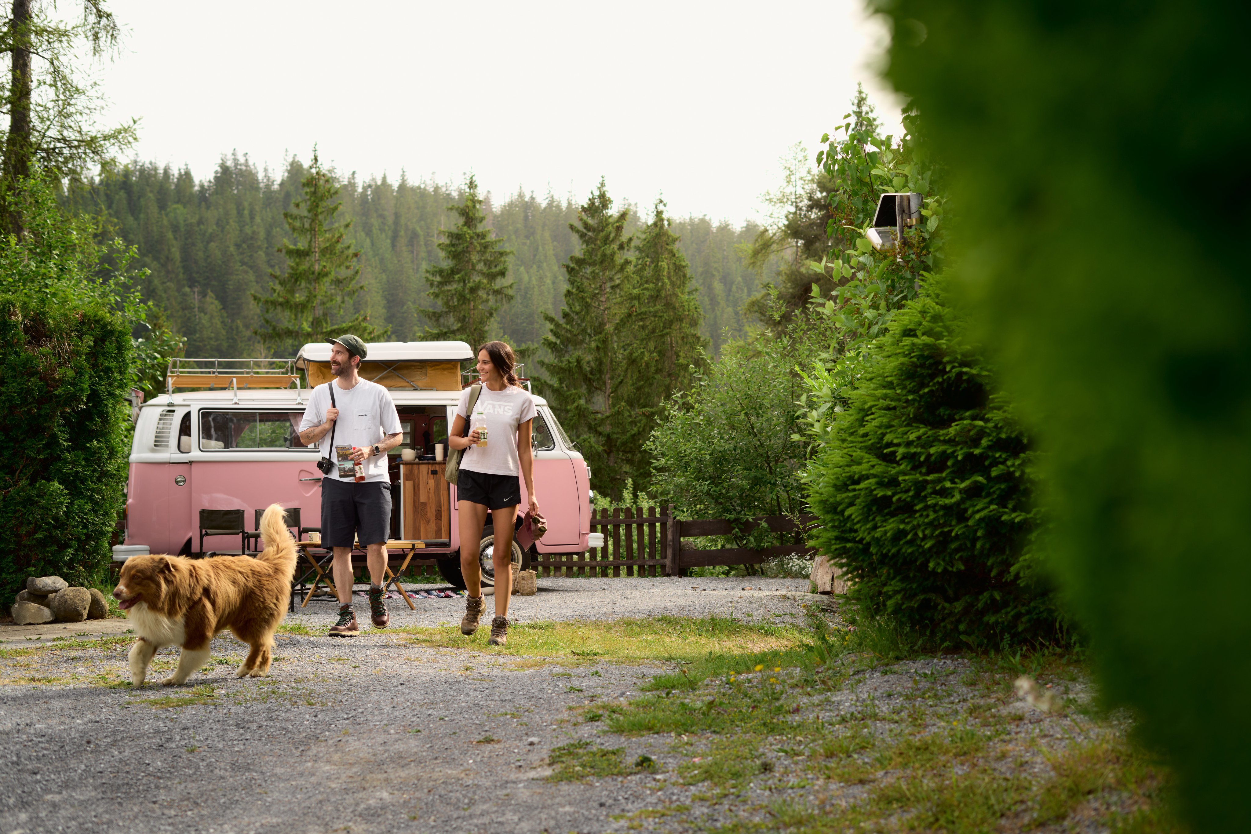 Two people with a dog walk in front of a camper on a campsite.