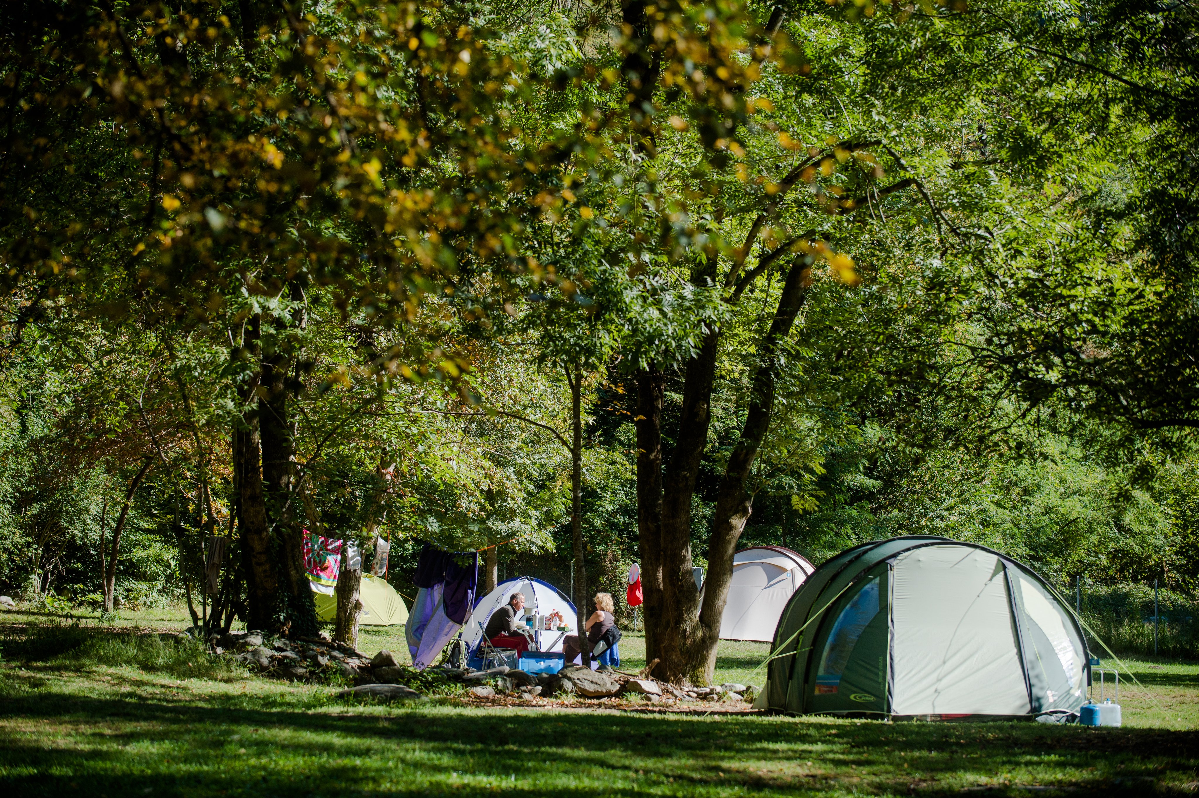 Zelt Stellplätze auf dem TCS Camping Gordevio mitten in einem Wald.