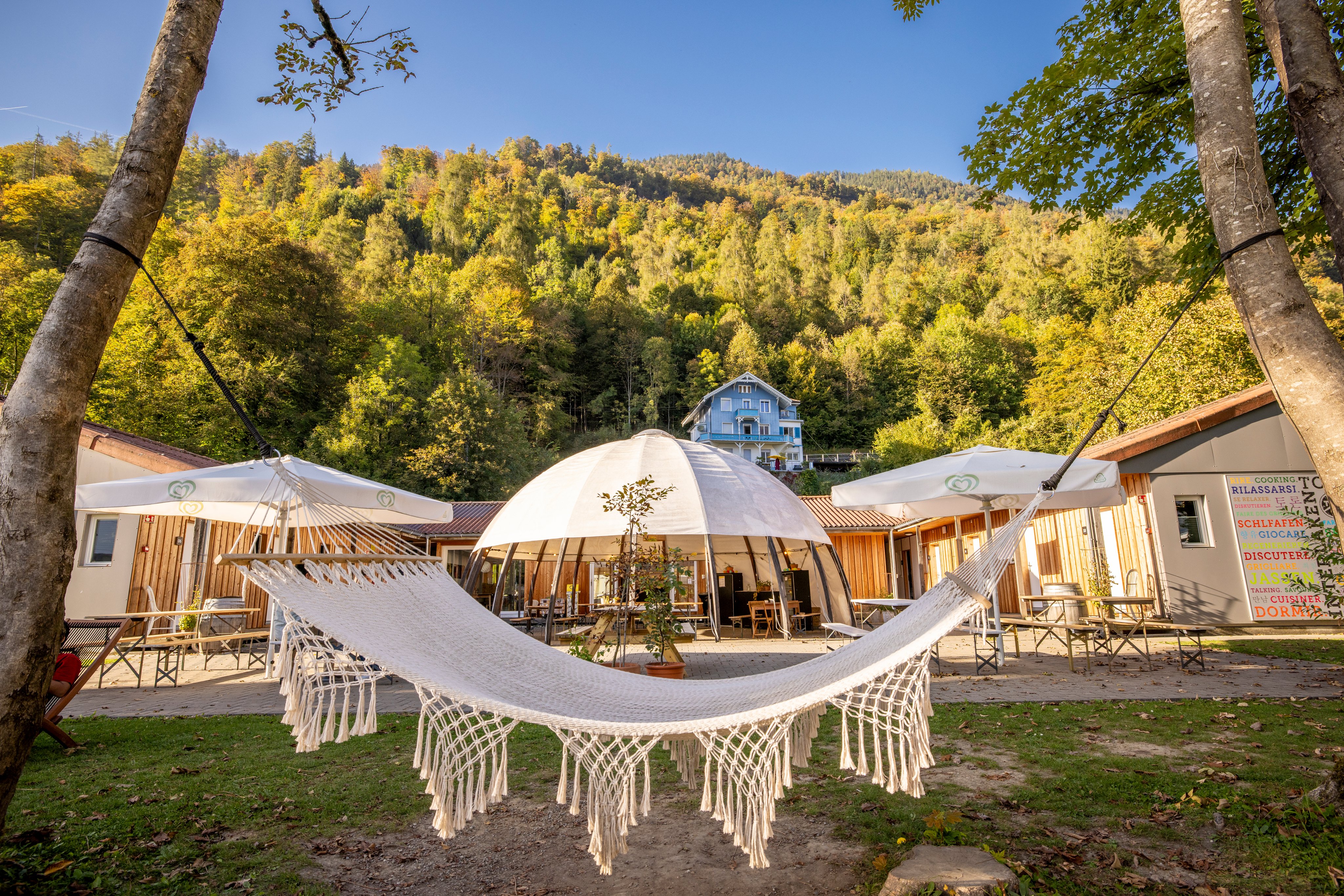 Hamac sur un terrain de camping, avec une forêt en arrière-plan.