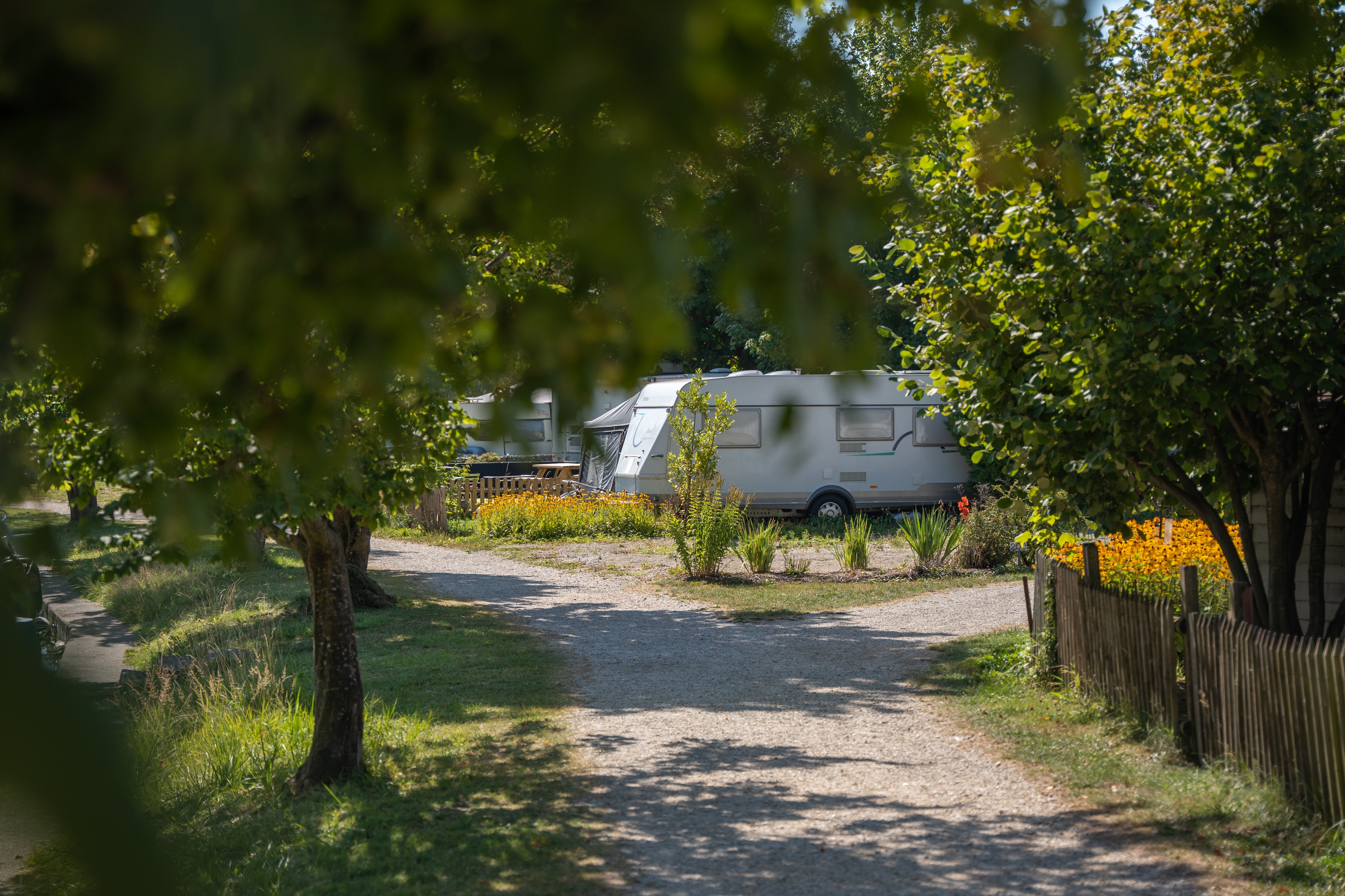 Une caravane sur un terrain de camping sous les arbres.