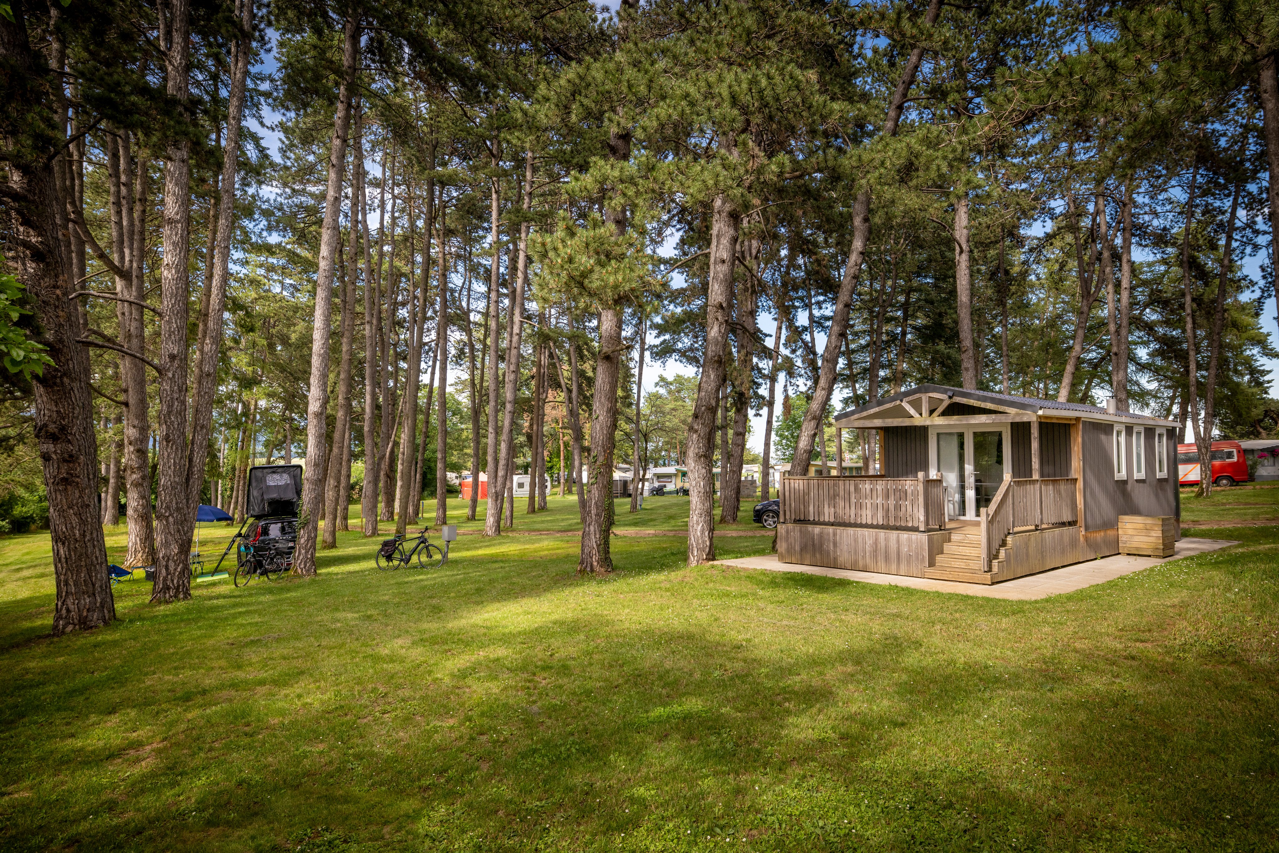 Location d'hébergement dans la forêt dans un camping.
