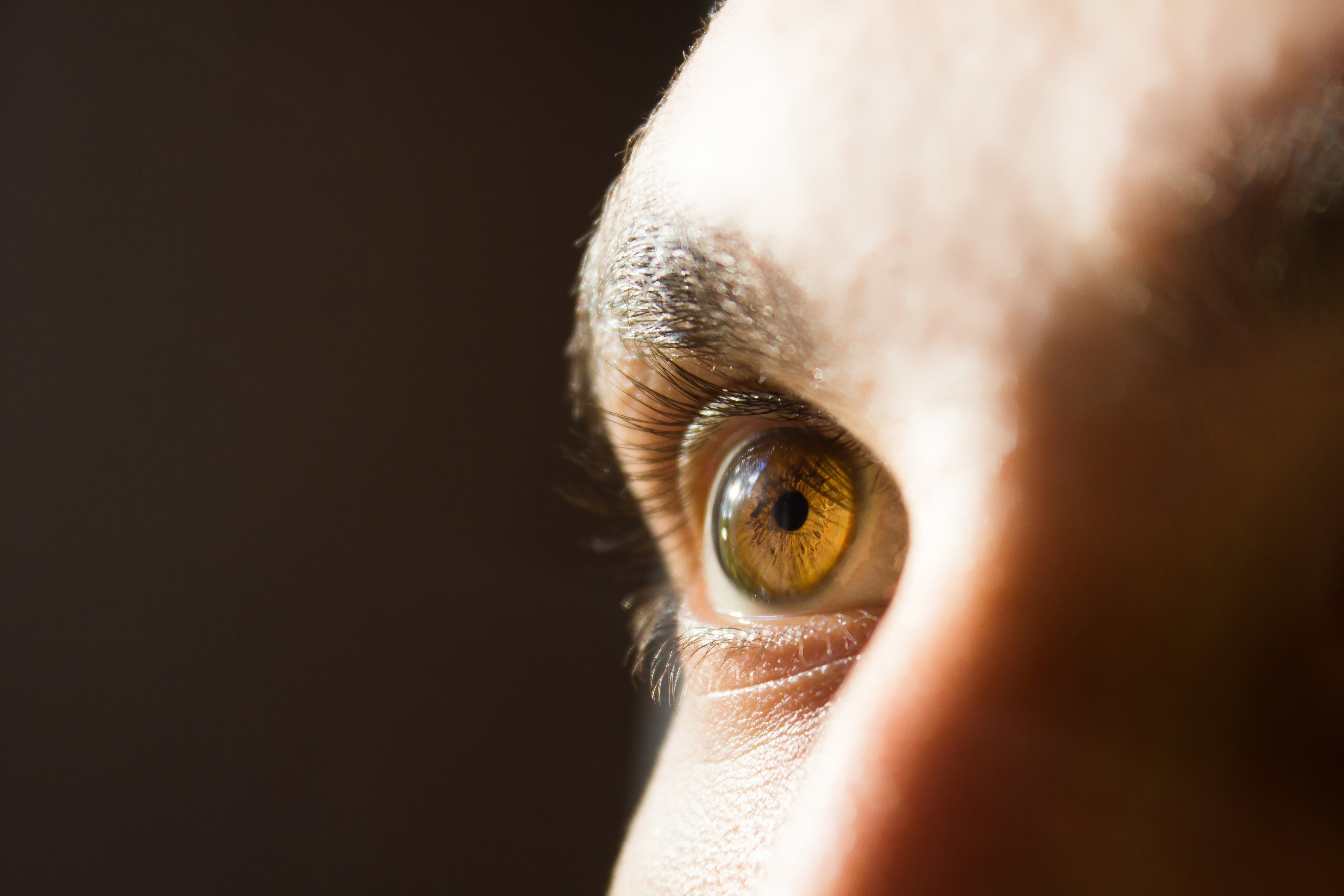 human eyes of a man
