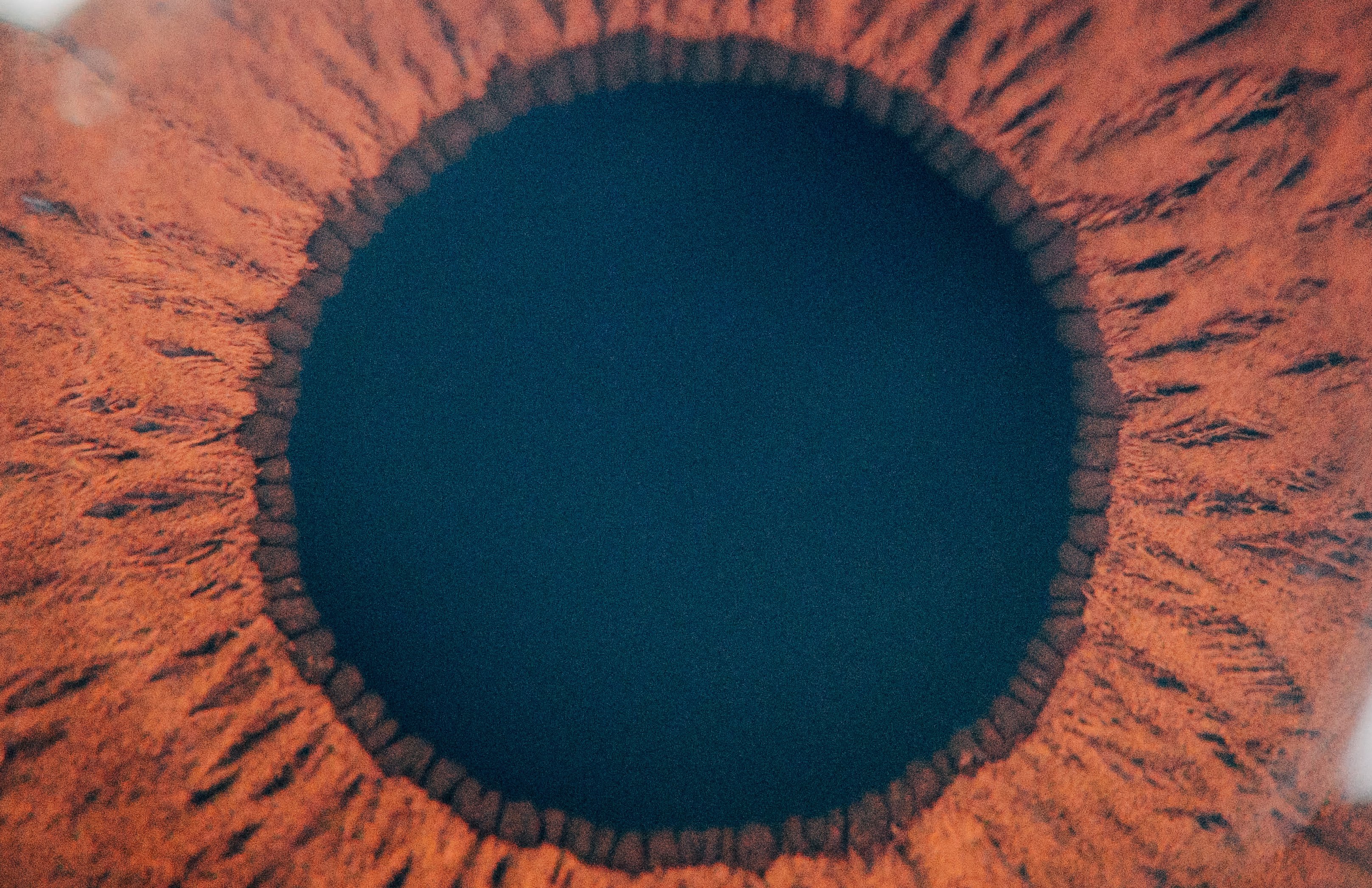 Extreme close up of a brown human iris and pupil showing detailed eye textures and patterns.