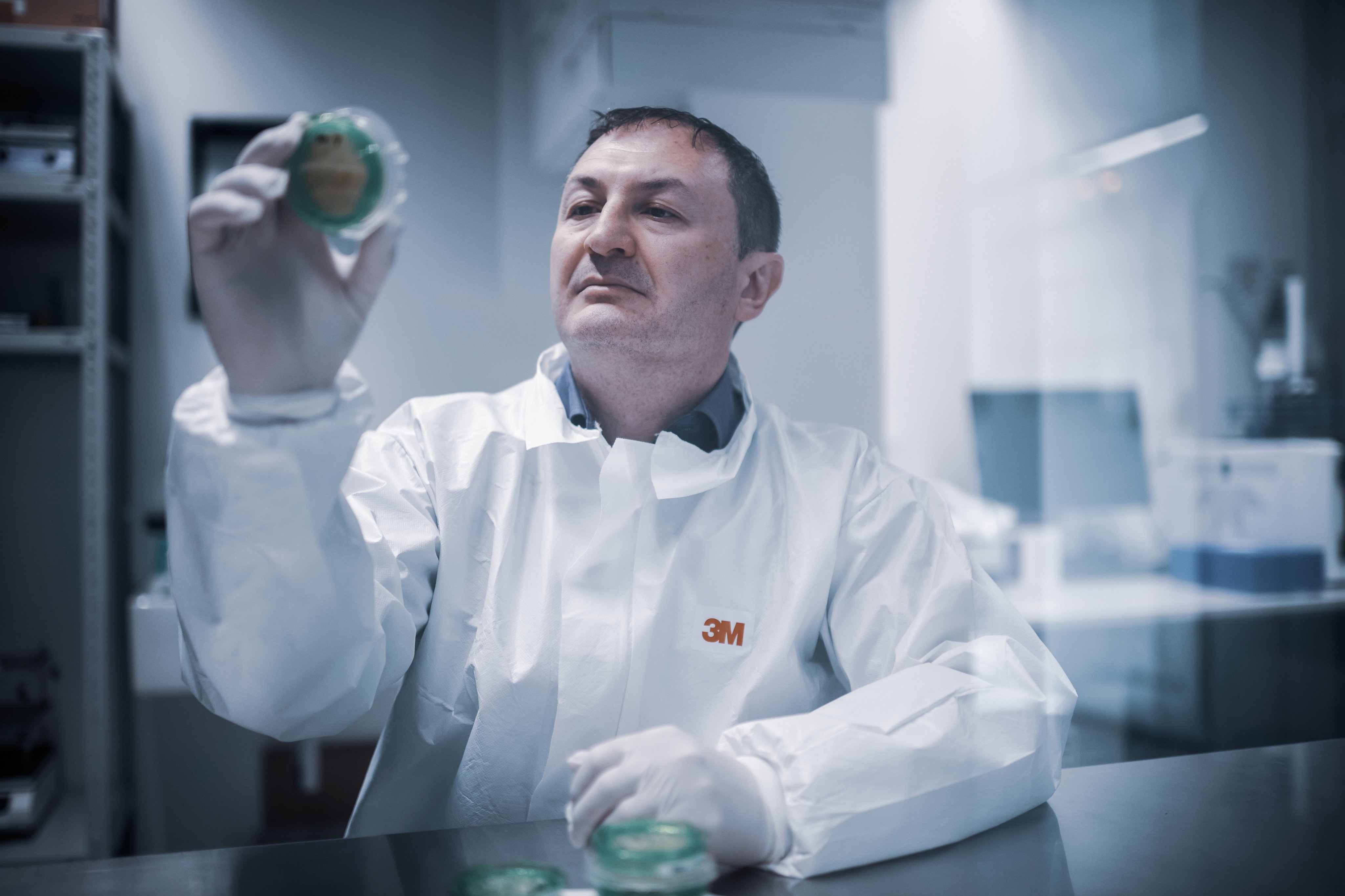 Laboratory employee wearing protective clothing and gloves examines a petri dish in the Oertli Bio-Lab
