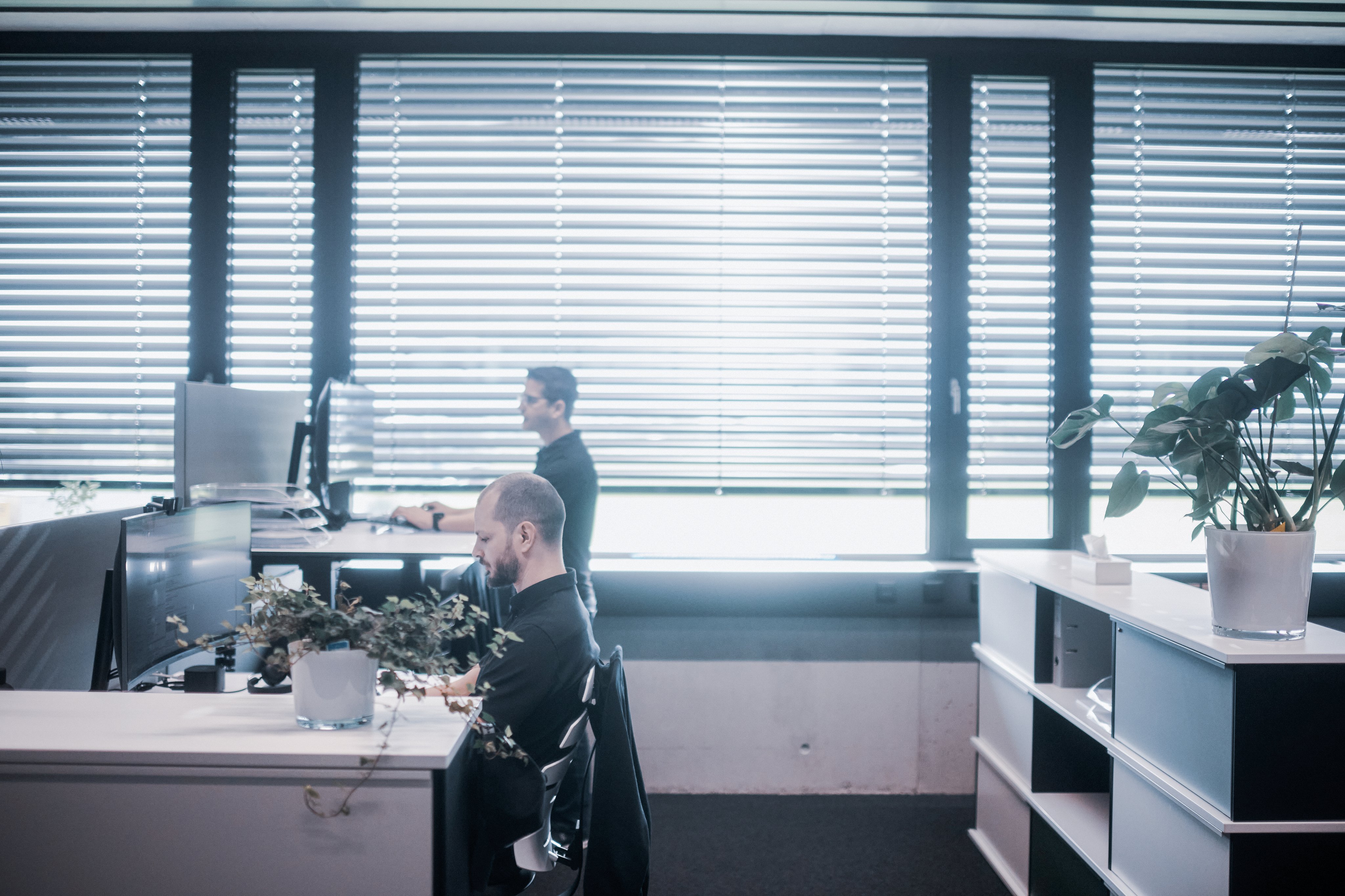 Mitarbeitende arbeiten an Computerarbeitsplätzen in einem Büro mit grossen Fenstern