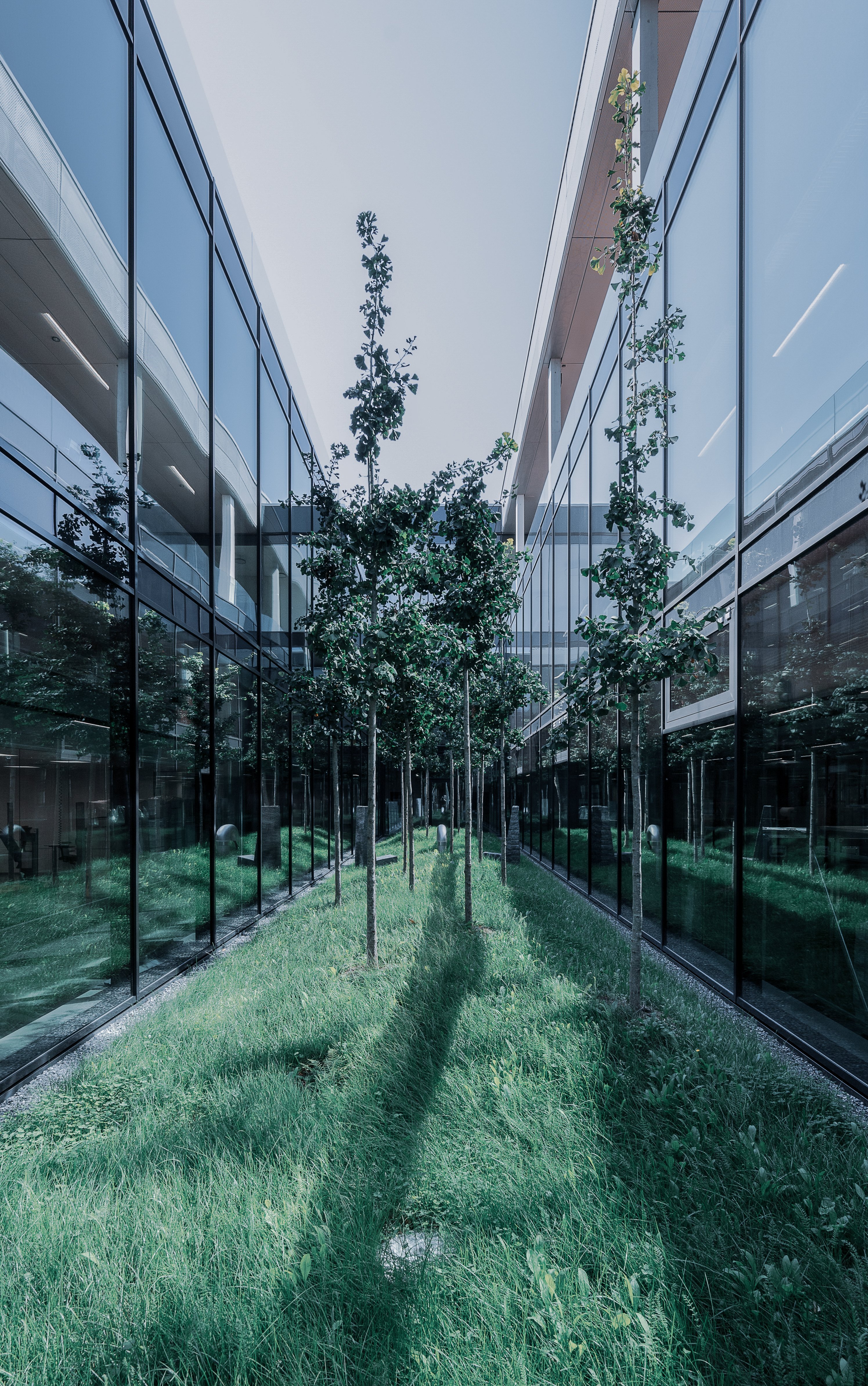 Atrium at the Oertli building featuring glass facades, trees and green landscaping between modern office buildings.