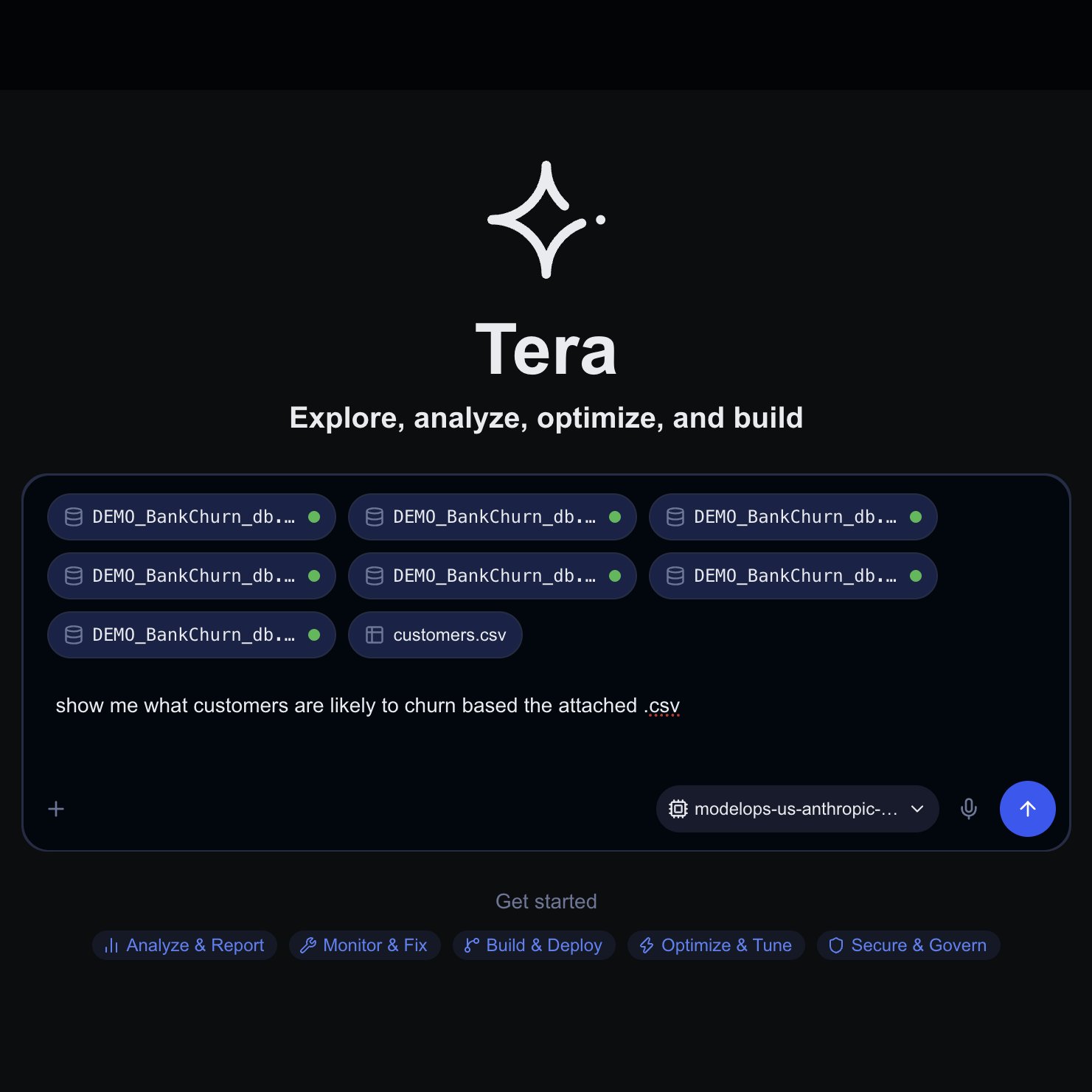 Tera Optimize
