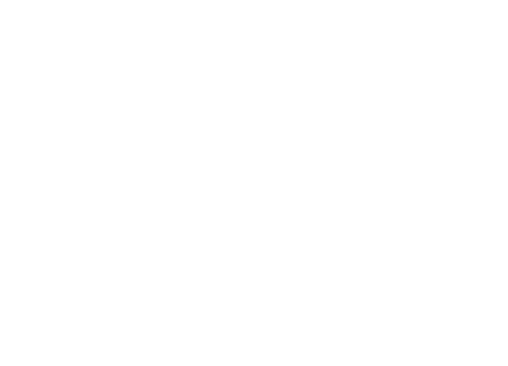 Octave_logo_primary_rgb_white