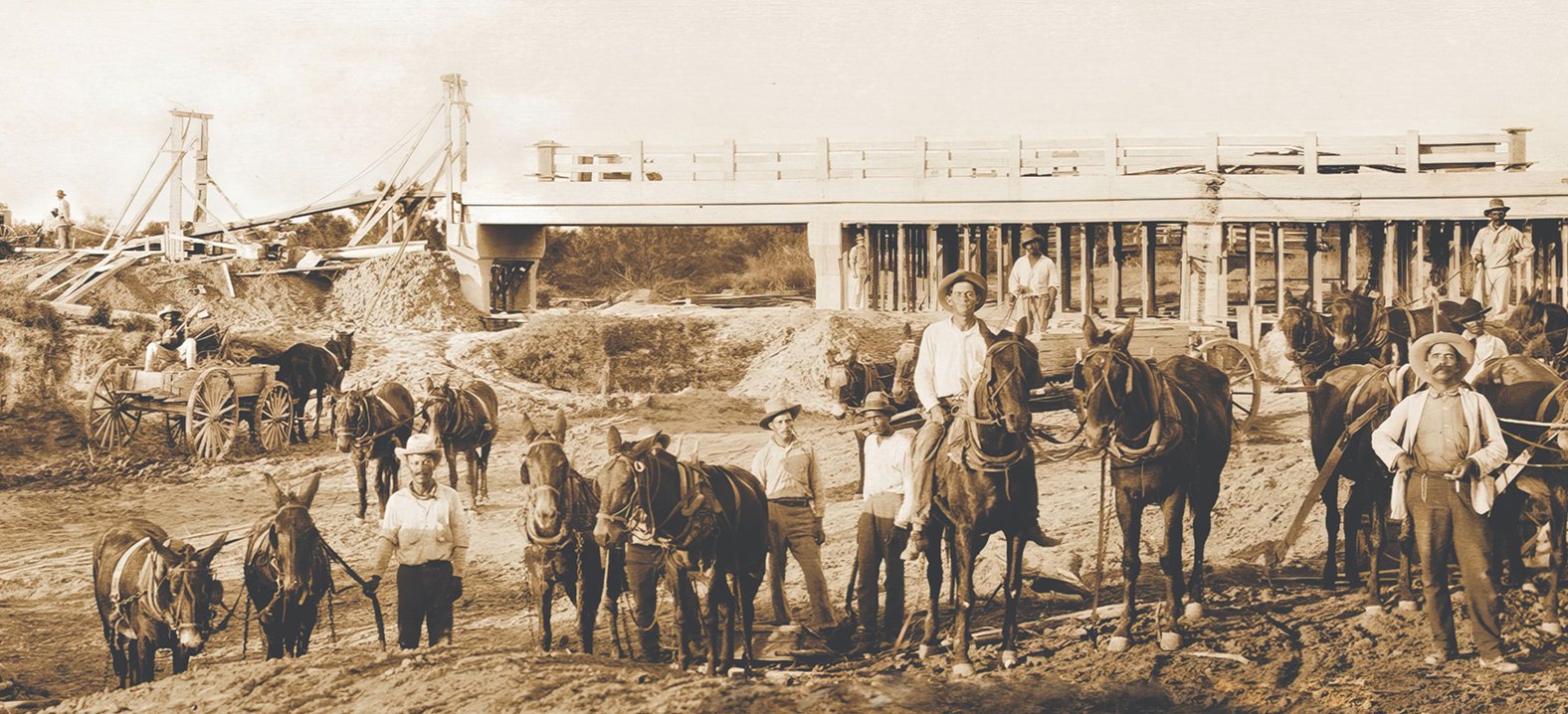Mule teams at an early H. B. Zachry construction site